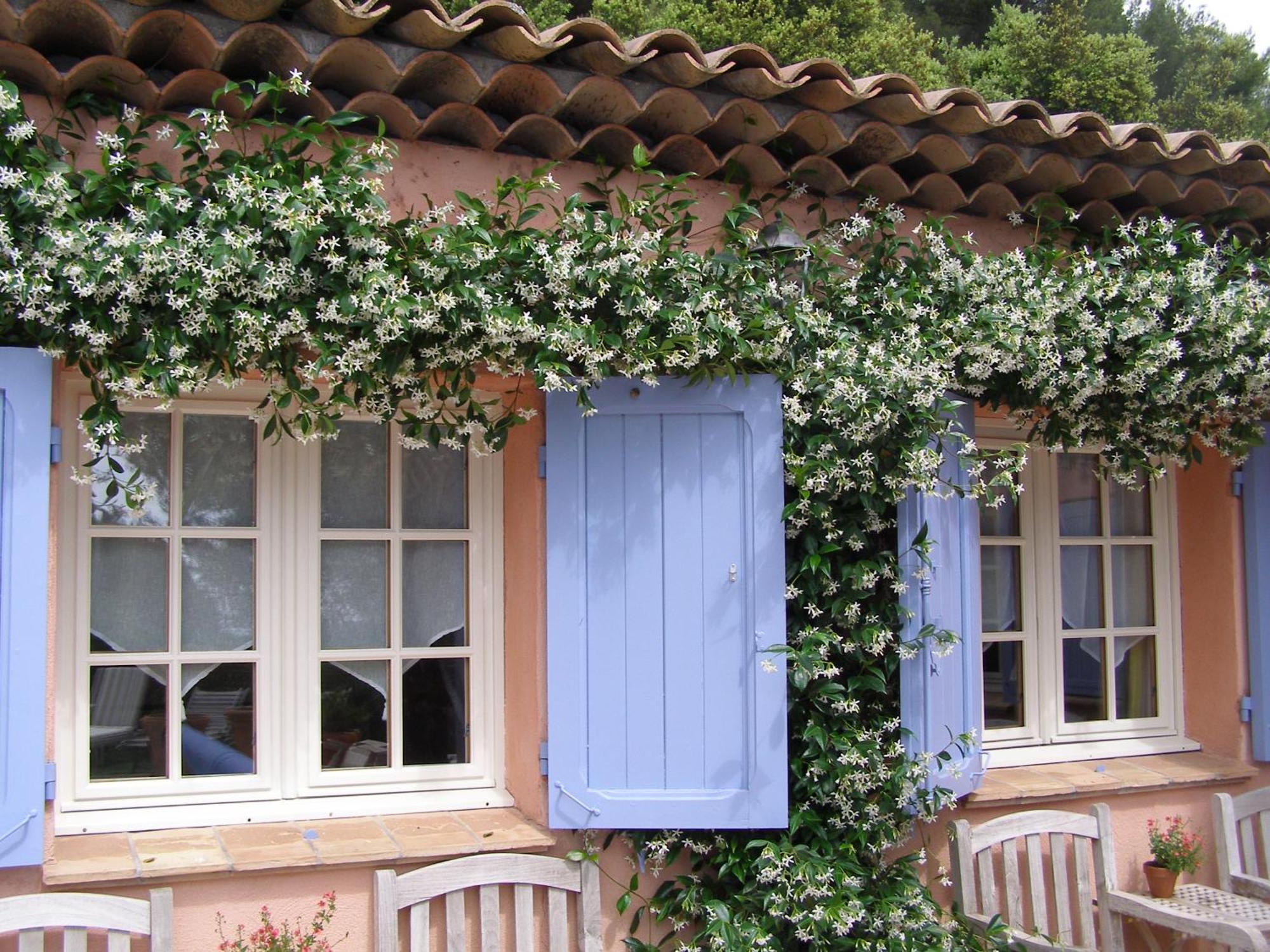 Le Mas Des Cigales Tourrettes-sur-Loup Exterior photo