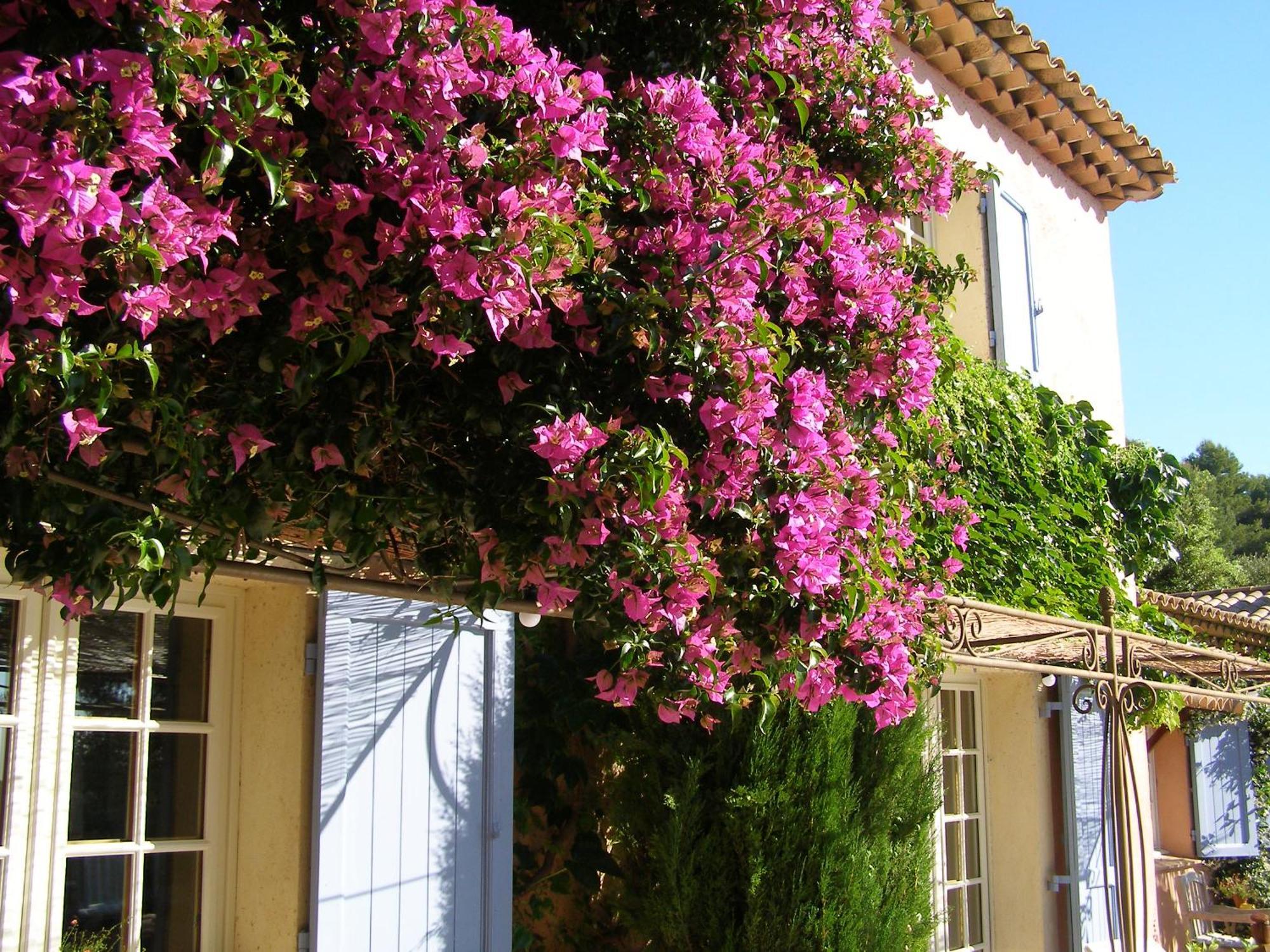 Le Mas Des Cigales Tourrettes-sur-Loup Exterior photo